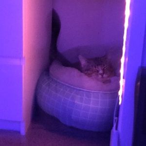 Meet your Posher, Loima